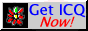 Get ICQ!